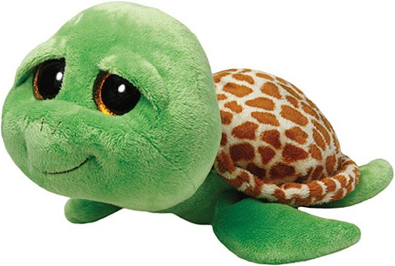 Zippy - Green Turtle